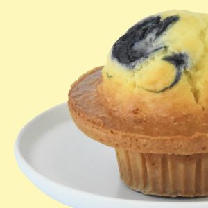Blueberry Muffin