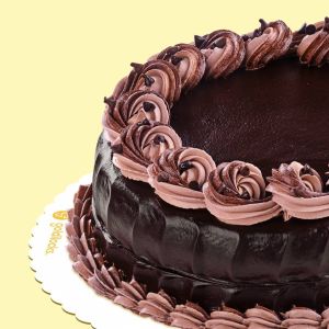 Luscious Chocolate Cake