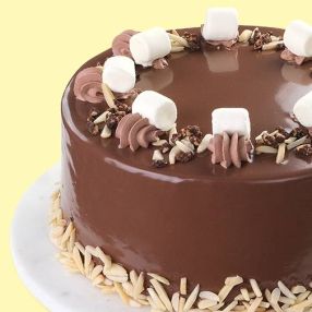 Chocolate Almond Crunch Cake